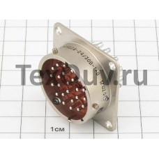 СНЦ23-24/30В-1-В  Вилка