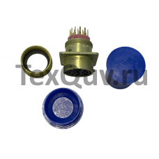 Разъем СНЦ23-19/24РП-1-в-В (2022г)