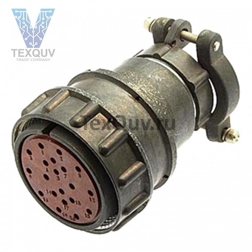 2РМДТ36КПН20Г5А1В Розетка