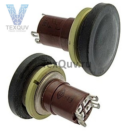 К2-2П 24мм кнопка с протектором