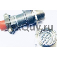 2РМГД24БПН10Ш5Е2 Вилка