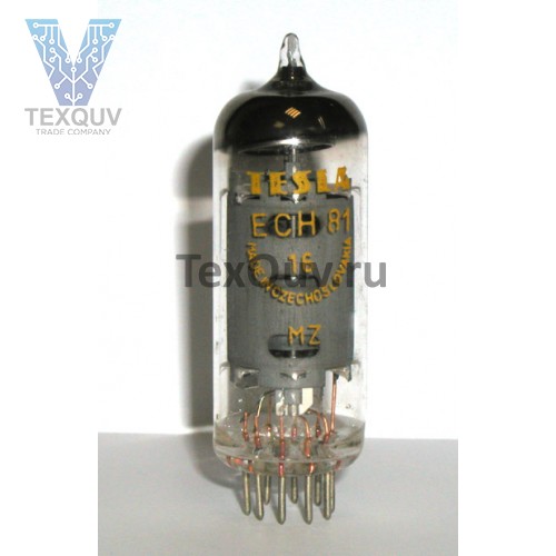 ECH 81 TESLA
