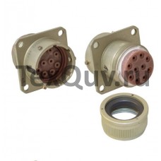 Вилка СНЦ23-10/22В-1-в-В (2017г)