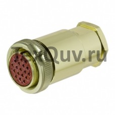 РС19АТВ розетка (2019г)